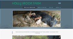 Desktop Screenshot of hollybrookfarm.net